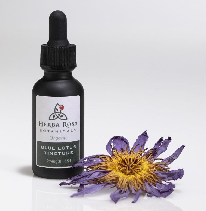 Herba Rosa’s Blue Lotus tincture (with flower) Blue Lotus max strength tincture from Herba Rosa with a blue lotus flower in front of it
