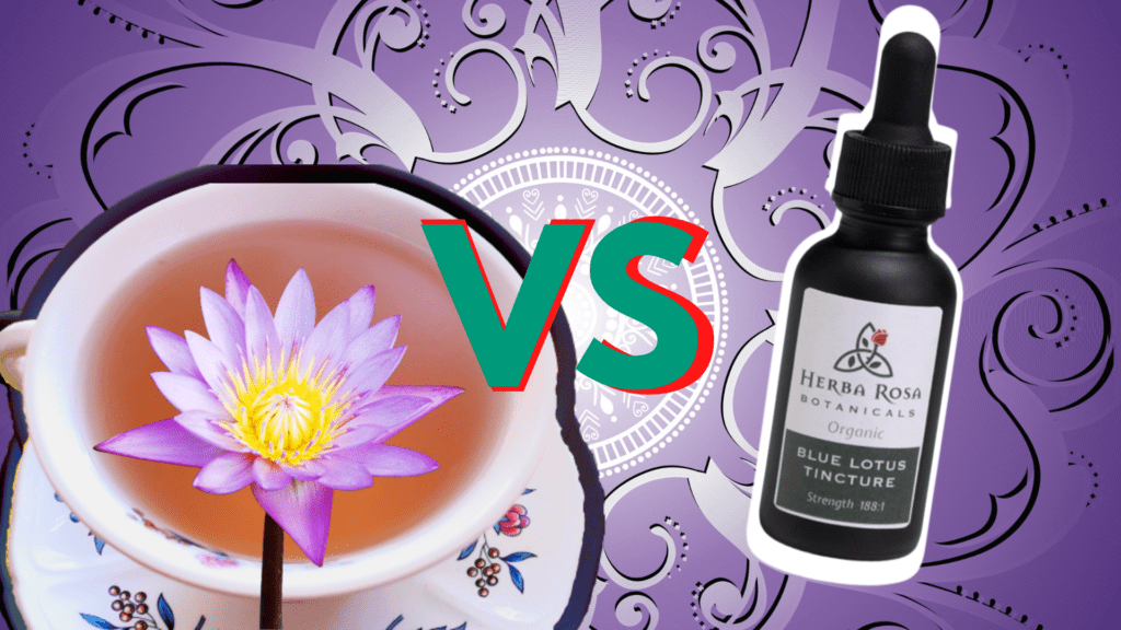 Which is better for dreaming? Blue Lotus tea vs Blue Lotus Tincture - which is better at helping you lucid dream easily?